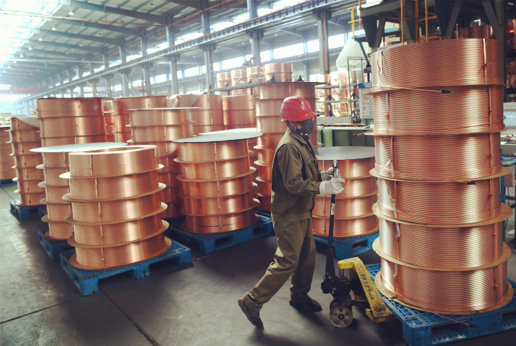 159661789470666878Kw.jpg 微信图片_20200224081135_副本.jpg