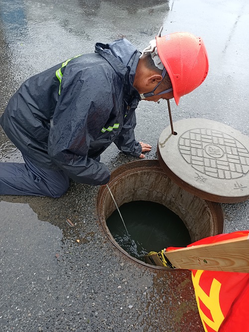 1628036382119795UDUM.jpg 10.jpg